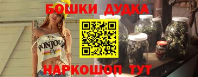 дмт Гатчина