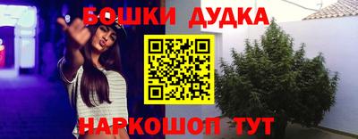 шишки Гагарин