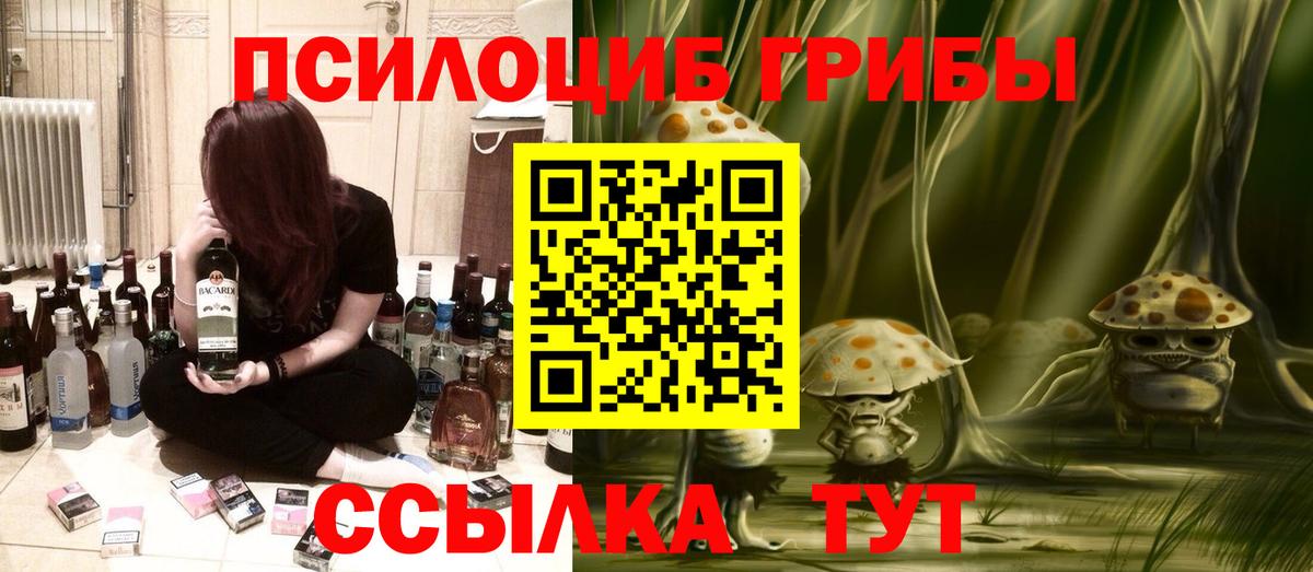 Галлюциногенные грибы MAGIC MUSHROOMS  Вход с VPN  Заводоуковск 